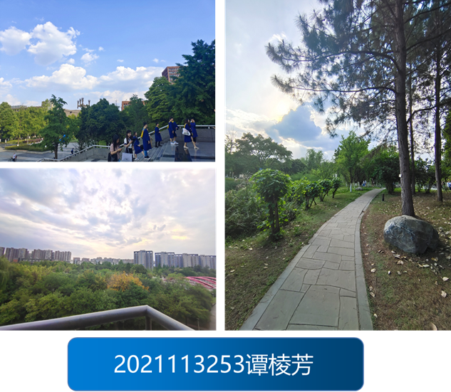 1670557174781079731.png image.png