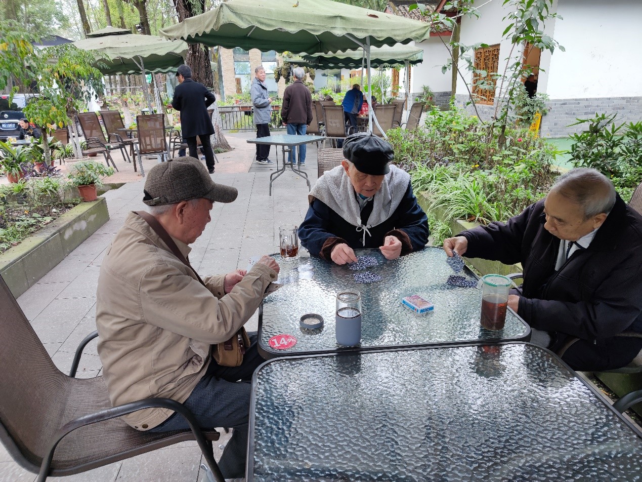 1669107315408078631.jpg 4.jpg